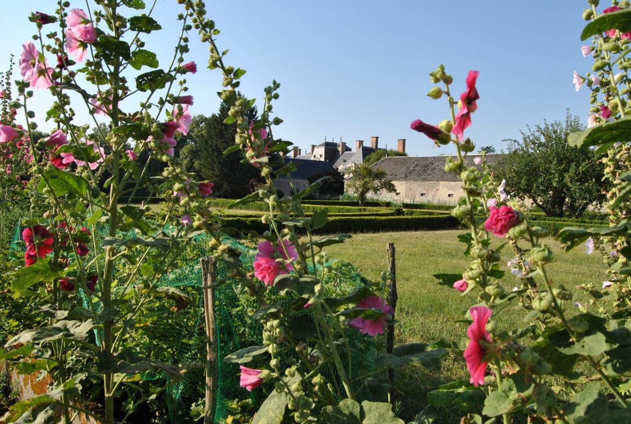 Chateau La Touanne Loire Valley Baccon Buitenkant foto