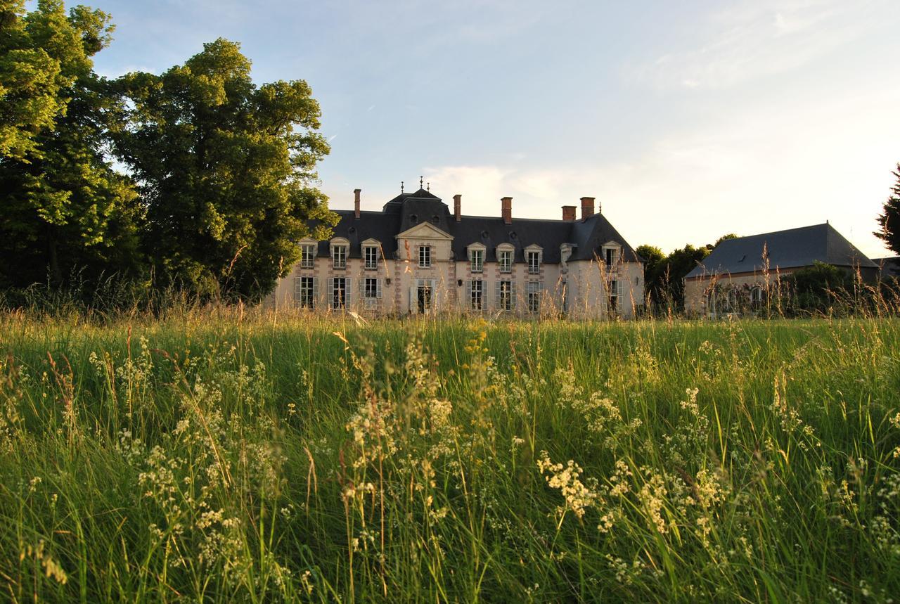 Chateau La Touanne Loire Valley Baccon Buitenkant foto