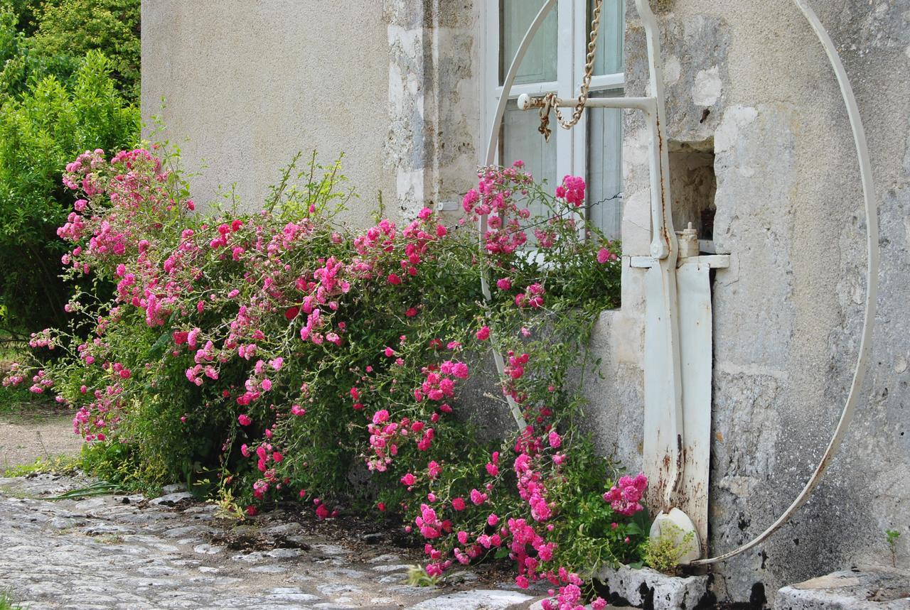 Chateau La Touanne Loire Valley Baccon Buitenkant foto