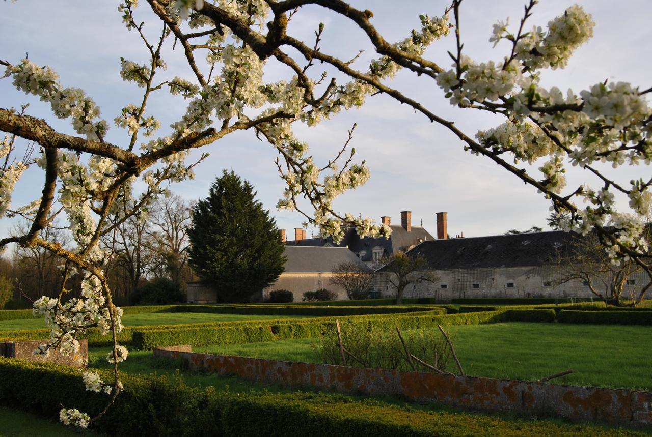 Chateau La Touanne Loire Valley Baccon Buitenkant foto