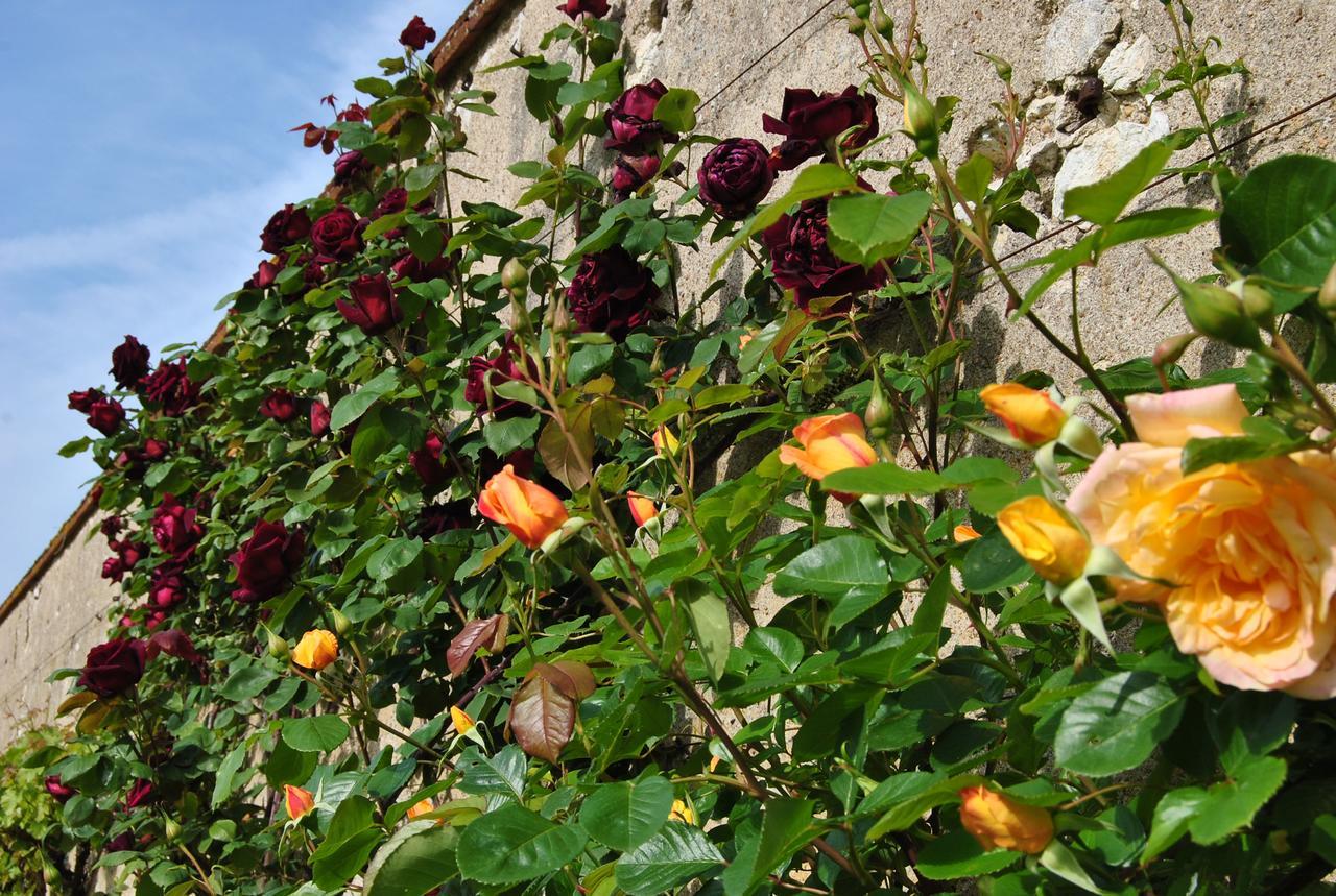Chateau La Touanne Loire Valley Baccon Buitenkant foto