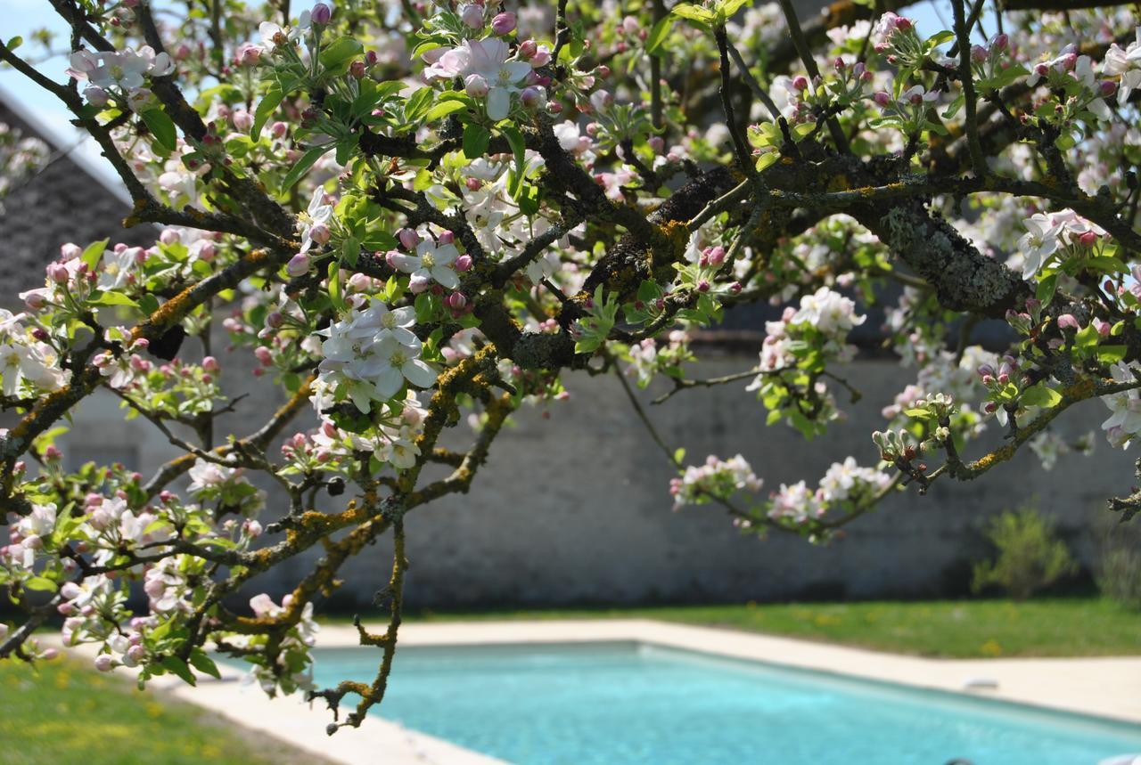 Chateau La Touanne Loire Valley Baccon Buitenkant foto