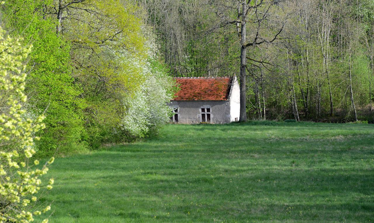 Chateau La Touanne Loire Valley Baccon Buitenkant foto